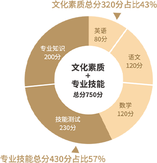 职教政策解读